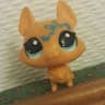 user