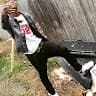 user