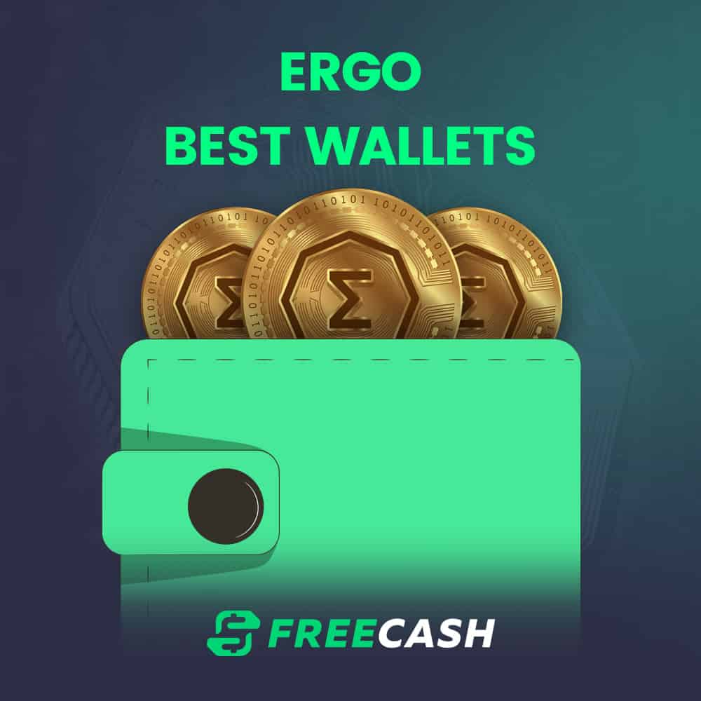 The Best Ergo Wallets: Your Guide to Finding the Right One