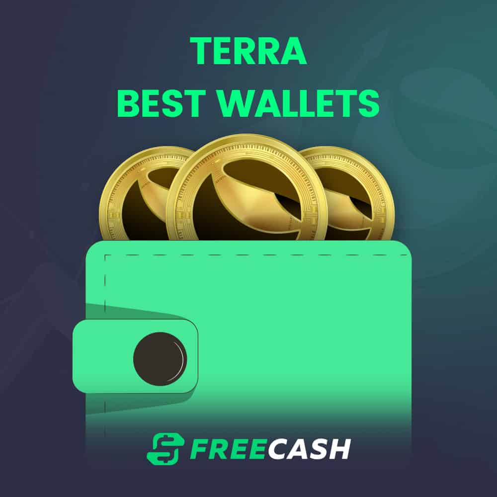 From Hardware to Mobile: The Best Wallets for Storing Terra