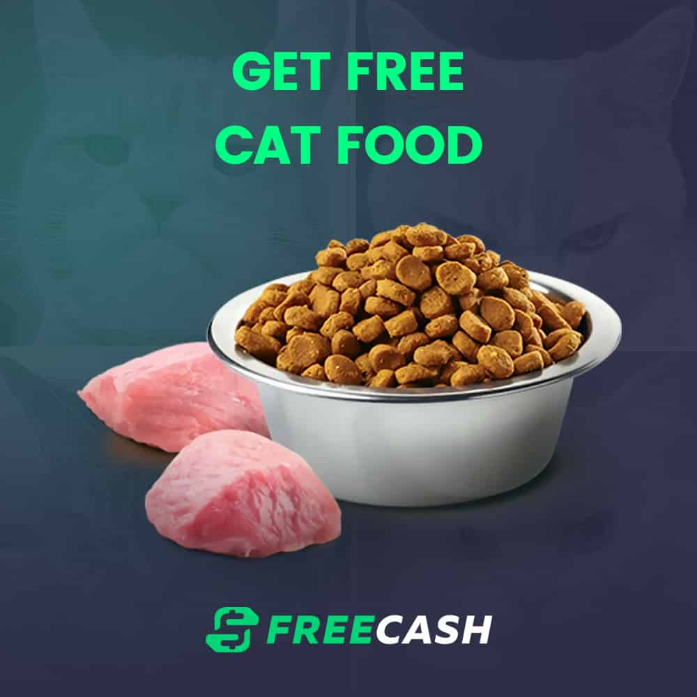 Score Free Cat Food With These 9 Legit Resources - Purr-Fect Options
