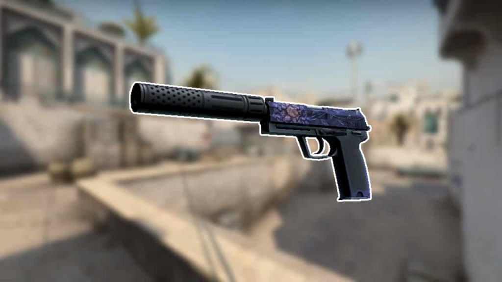 CSGO Cheapest USP-S Skins Black Lotus