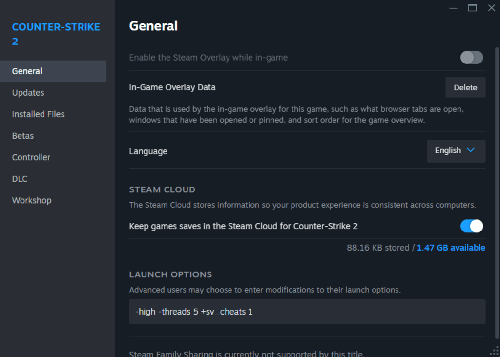 CS2 Steam Launch Settings